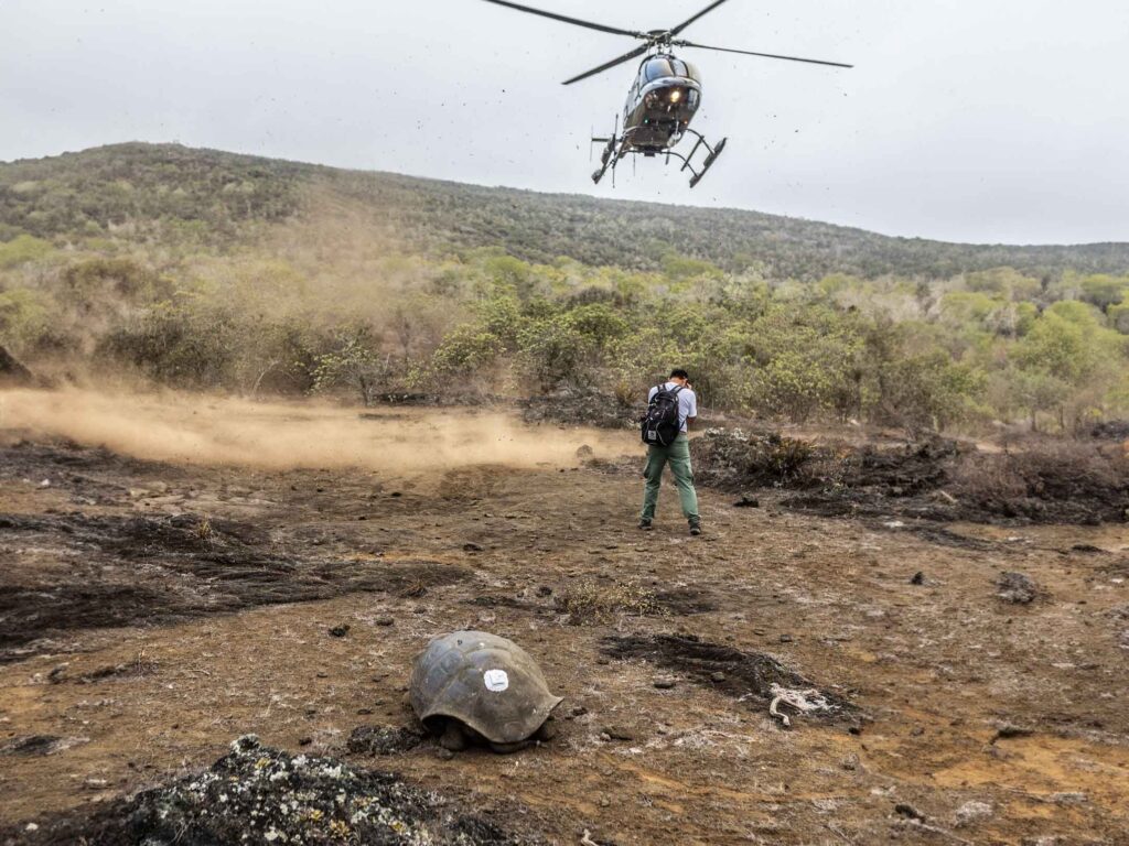 Helicopter with geo-tagged tortoise