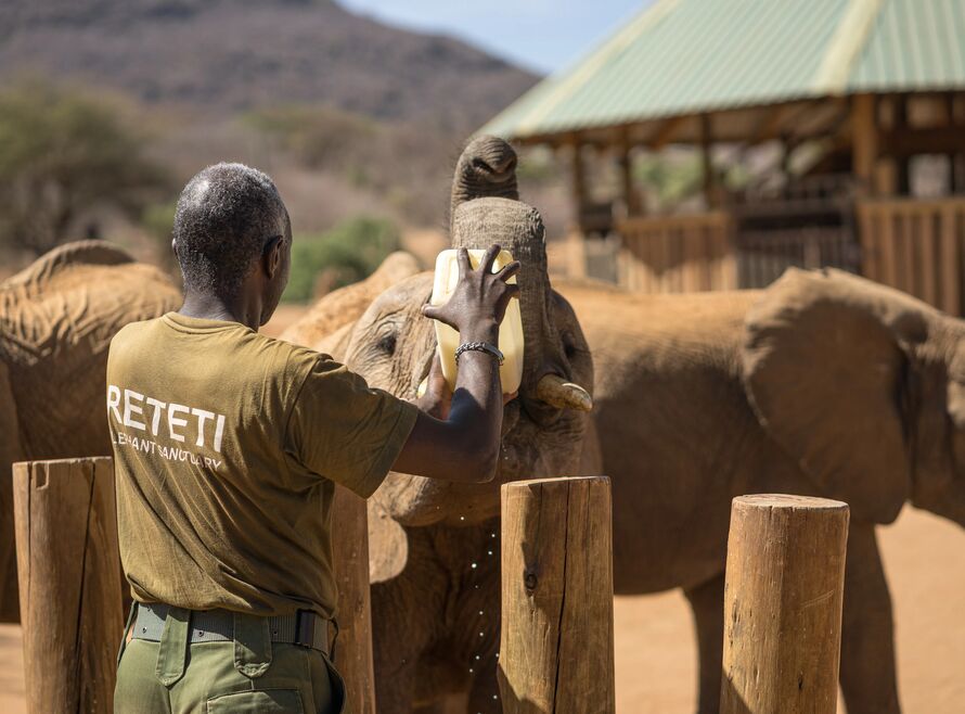 Elephant sanctuary staff feeding an elephant.