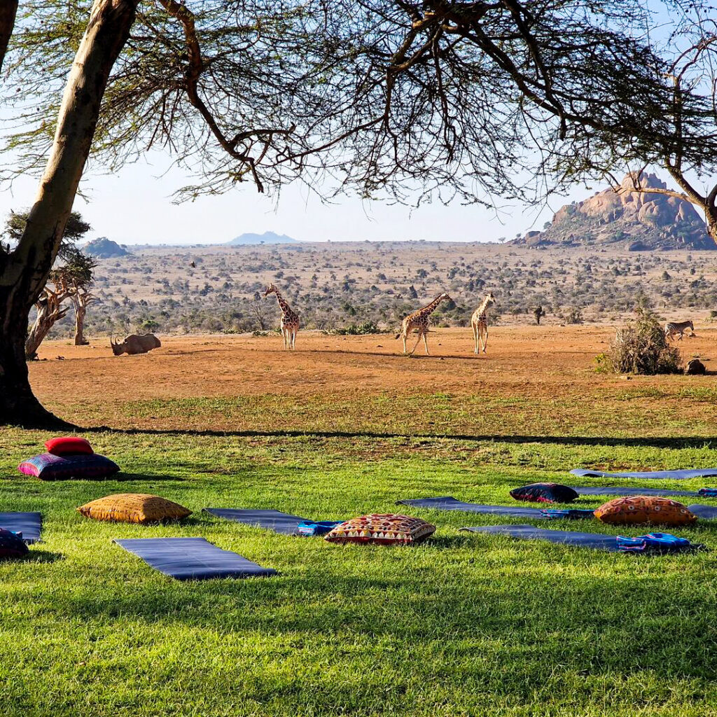 Yoga mats on grass looking out on to giraffes