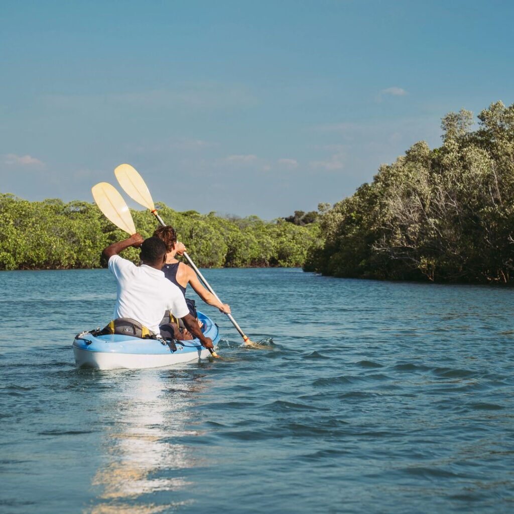 Kayaking through mangroves.