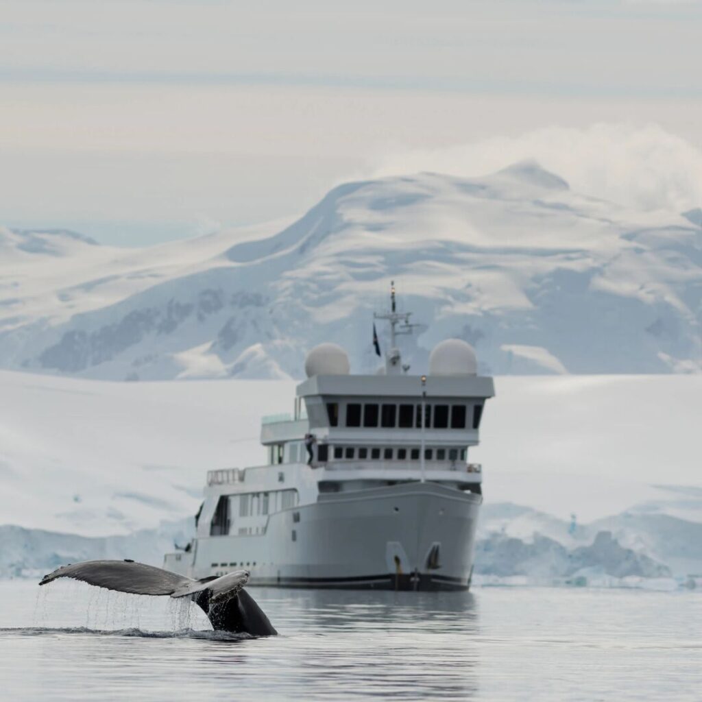 Superyacht in Antarctica, with a whale fluke in the foreground