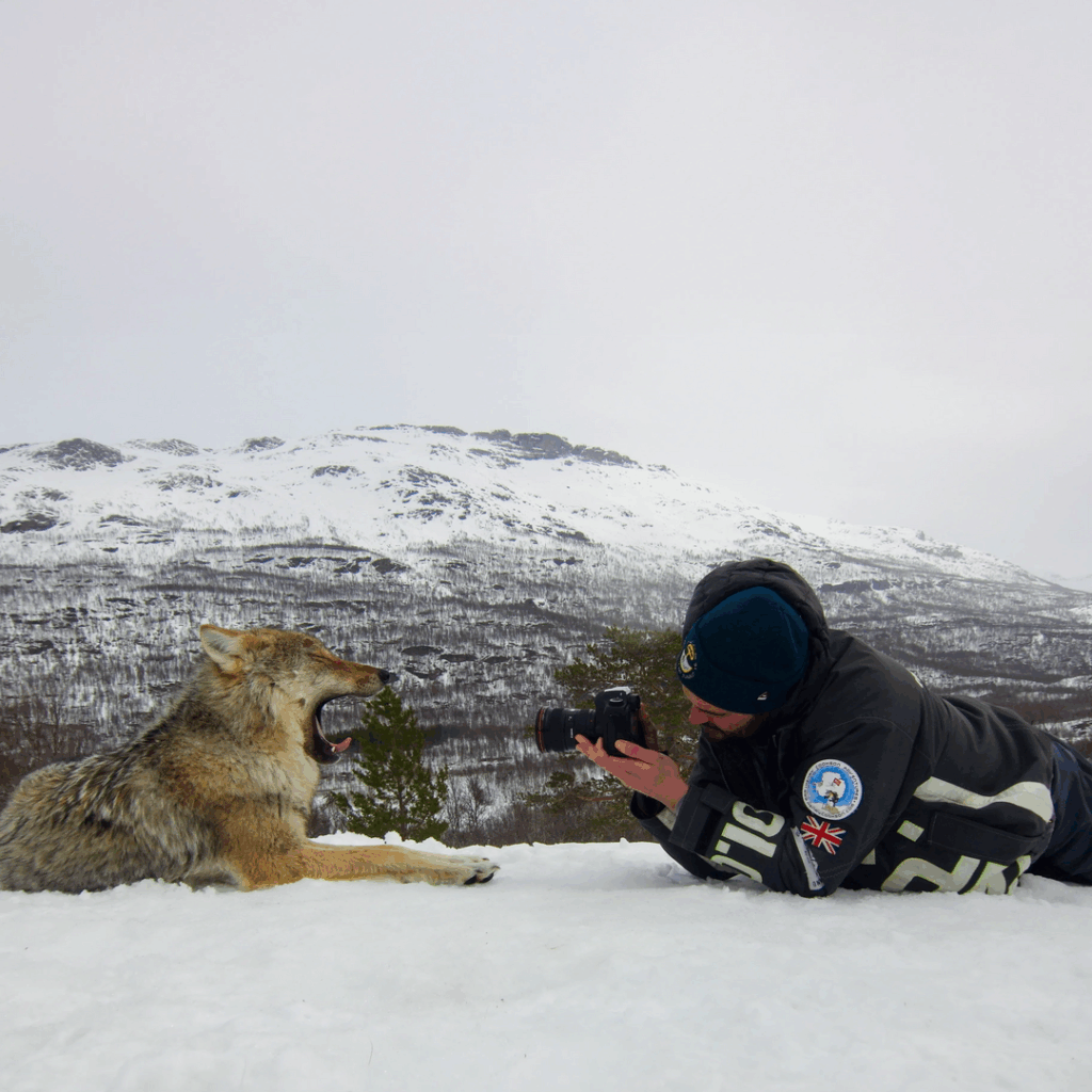 Henry Cookson photographing a wolf