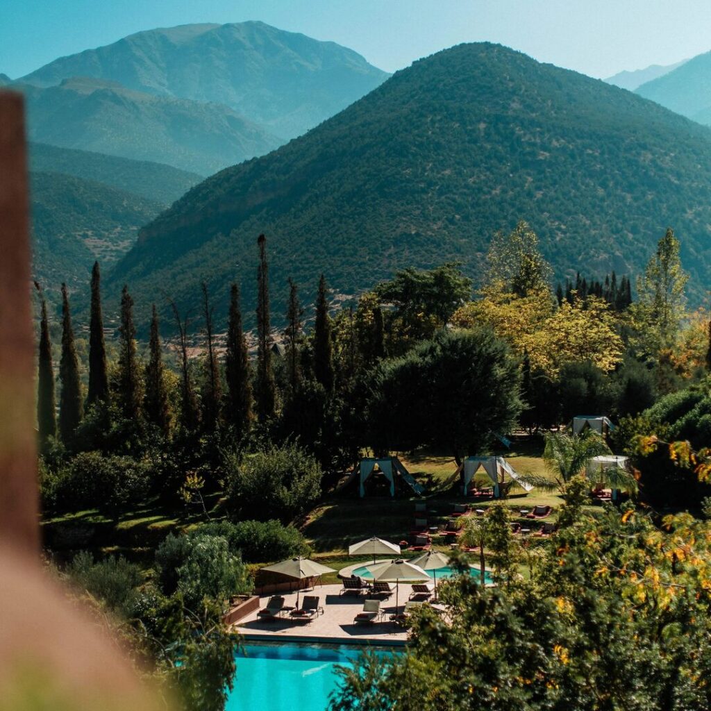 Pool surrounded by lush greenery